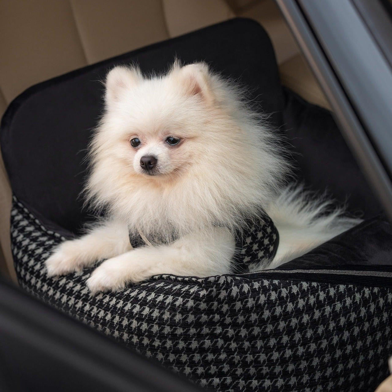 Oh Charlie Prestige Black Car Seat LUXURY by Oh Charlie - Black   Pets Own Us