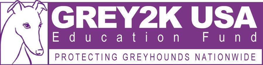 Donation to charity for GREY2K USA Education Fund event