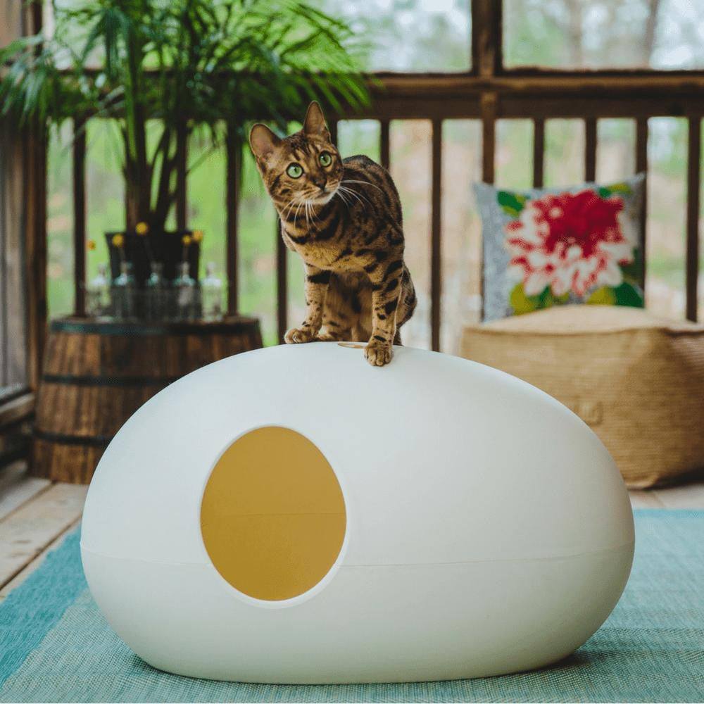 The Cat Poo Pod white designer cat litter box with ergonomic paw handle and anti-odour features