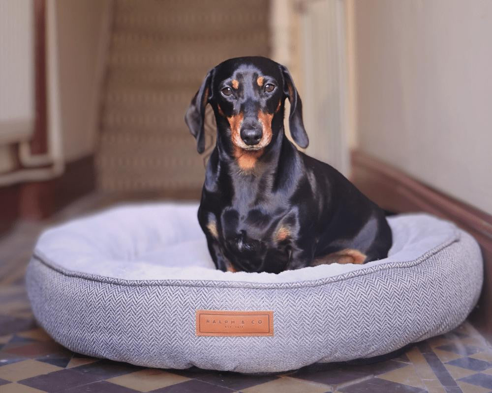  Ralph & Co Grey Calming Donut Dog Bed | Balmoral  TBA Pets Own Us
