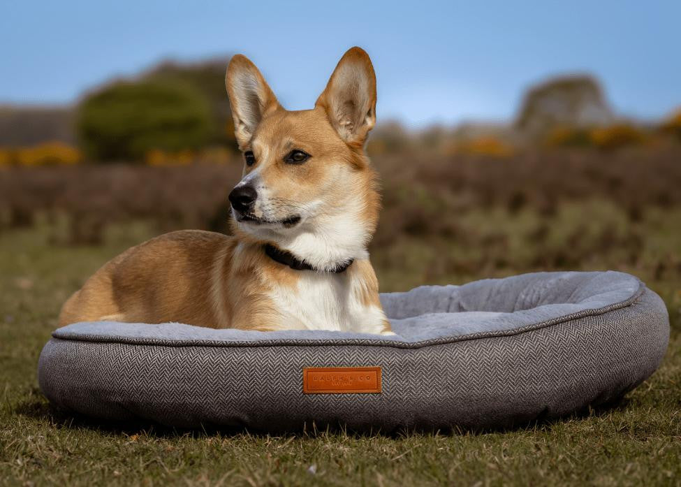  Ralph & Co Grey Calming Donut Dog Bed | Balmoral  TBA Pets Own Us