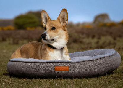  Ralph & Co Grey Calming Donut Dog Bed | Balmoral  TBA Pets Own Us