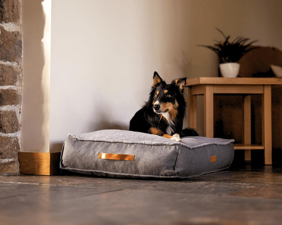  Ralph & Co Herringbone Pillow Dog Bed | Balmoral  TBA-1-1-1-1-1-1 Pets Own Us