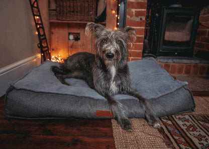  Ralph & Co Herringbone Pillow Dog Bed | Balmoral  TBA-1-1-1-1-1-1 Pets Own Us