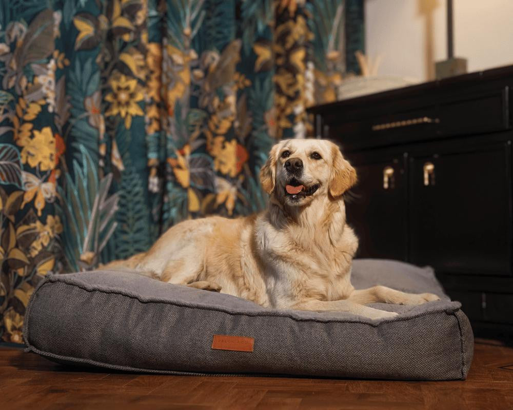  Ralph & Co Herringbone Pillow Dog Bed | Balmoral  TBA-1-1-1-1-1-1 Pets Own Us