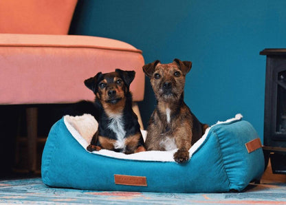  Ralph & Co Luxury Velvet Dog Bed | Hampton | Teal  TBA-1-1 Pets Own Us