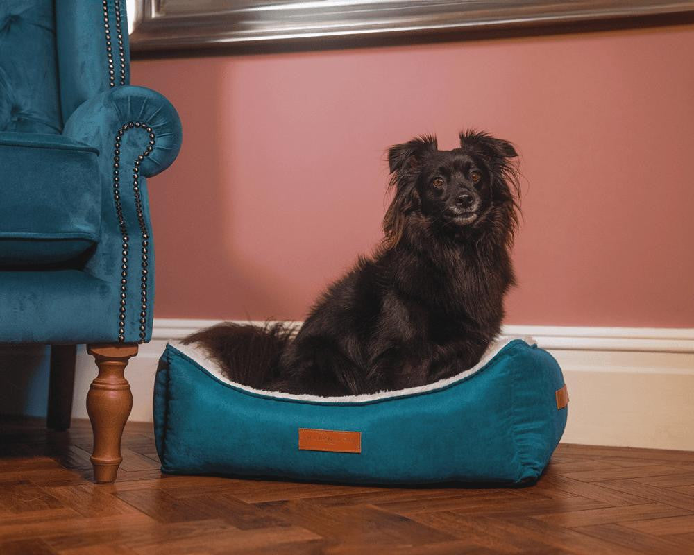  Ralph & Co Luxury Velvet Dog Bed | Hampton | Teal  TBA-1-1 Pets Own Us