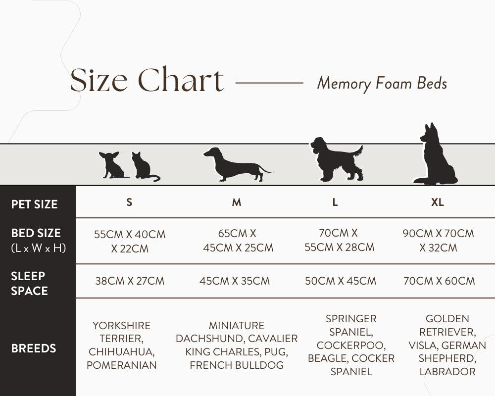  Ralph & Co Orthopedic Memory Foam Dog Bed | Grey  TBA-1-1-1-1-1 Pets Own Us