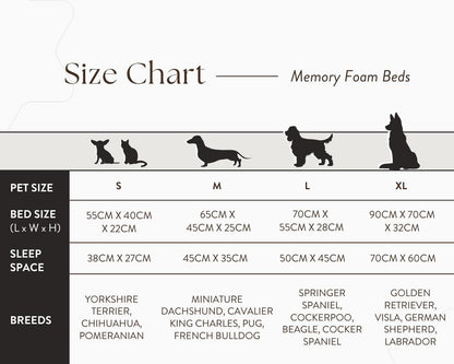  Ralph & Co Orthopedic Memory Foam Dog Bed | Grey  TBA-1-1-1-1-1 Pets Own Us