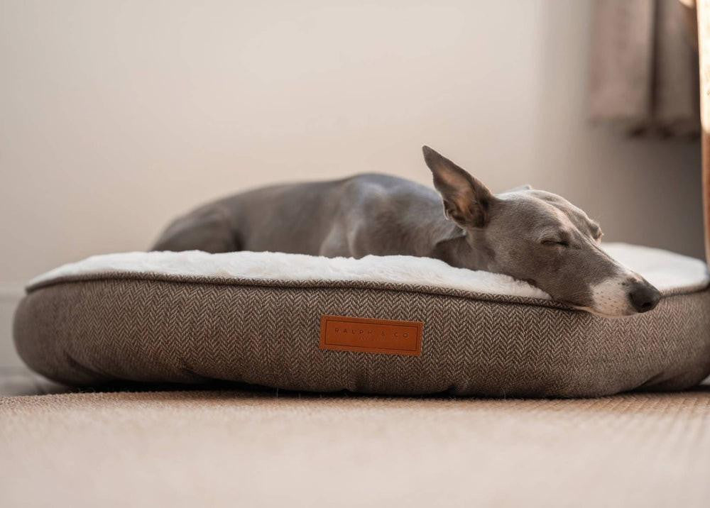  Ralph & Co Tweed Calming Donut Dog Bed | Lincoln  TBA-1 Pets Own Us