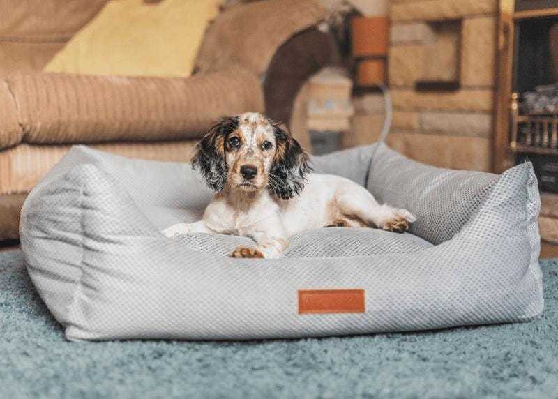 Orthopedic memory foam dog bed in beige knitted upholstery for joint support and comfort