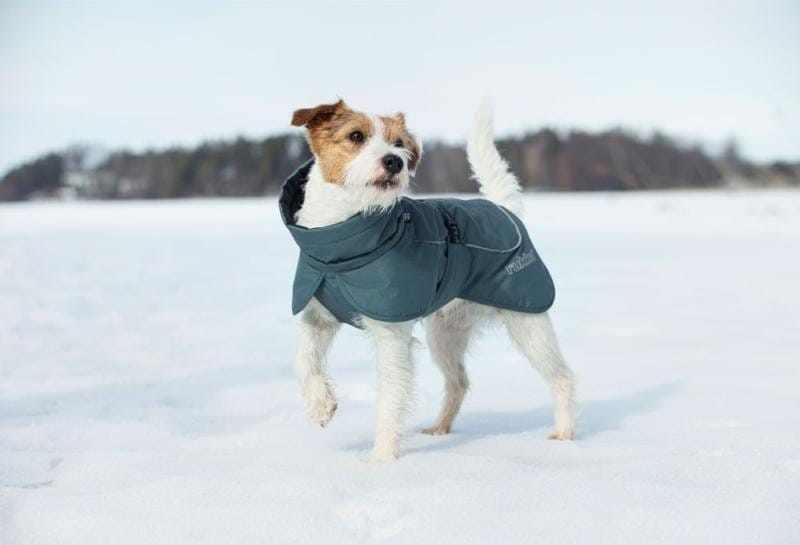 Rukka Pets Rukka Pets | Stormy Eco Dog Coat | Dark Agave Rukka Pets Stormy Eco Dog Coat | Waterproof & Reflective Dark Agave