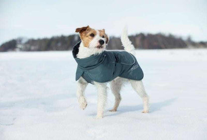 Rukka Pets Rukka Pets | Stormy Eco Dog Coat | Dark Agave Rukka Pets Stormy Eco Dog Coat | Waterproof & Reflective Dark Agave