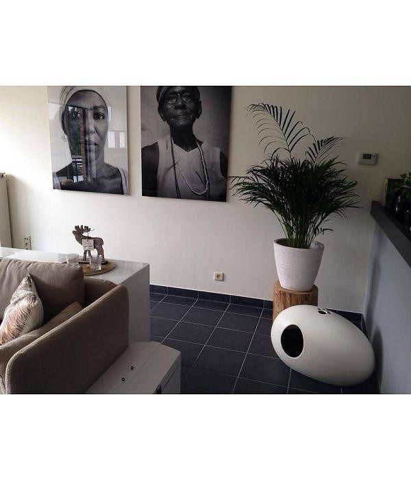 Sin Design Poopoopeedo Cat Litter Cave & Bed by Sin Design - White   Pets Own Us