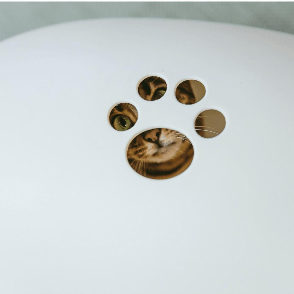 Sin Design Poopoopeedo Cat Litter Cave & Bed by Sin Design - White   Pets Own Us