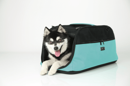 SleepyPod Pet Carrier SleepyPod | AIR Pet Carrier | Airline Compliant | 7 Colours Sleepypod AIR Pet Carrier | Airline Compliant | 2 Colours