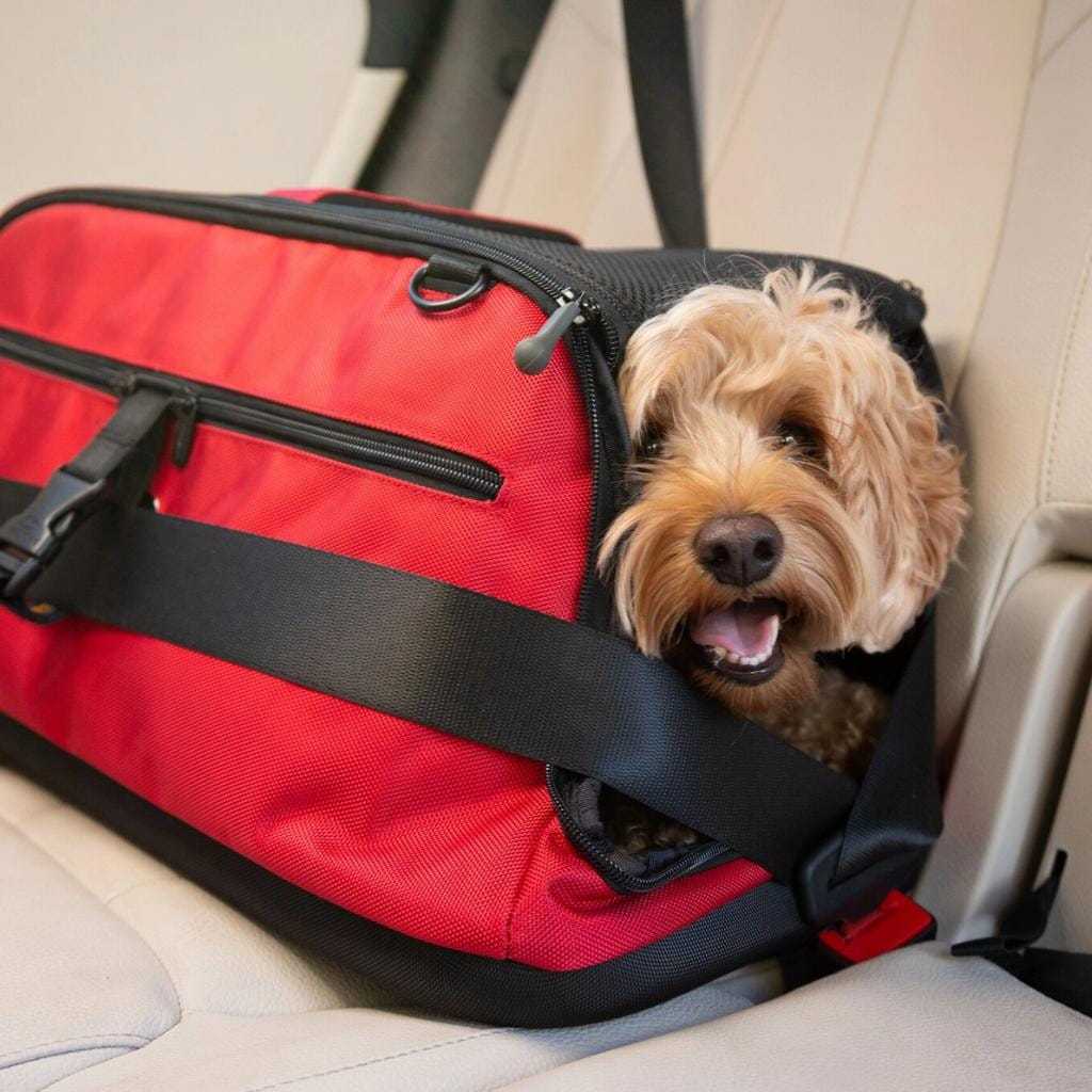 Sleepypod AIR Pet Carrier airline compliant crash-tested in multiple colors with expandable design and plush bedding