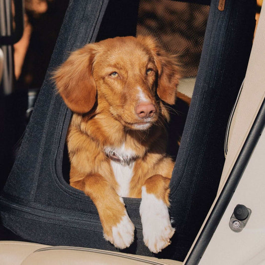 Tavo Pets Dog Travel Crate Tavo Crispin Impact-Tested Pet Travel Crate | Small, Medium & Large | Onyx & Merle | ISOFIX Pet Travel Crate Impact-Tested for Safety & Comfort | Tavo Crispin