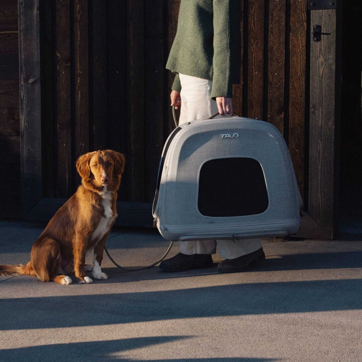Tavo Pets Dog Travel Crate Tavo Crispin Impact-Tested Pet Travel Crate | Small, Medium & Large | Onyx & Merle | ISOFIX Pet Travel Crate Impact-Tested for Safety & Comfort | Tavo Crispin