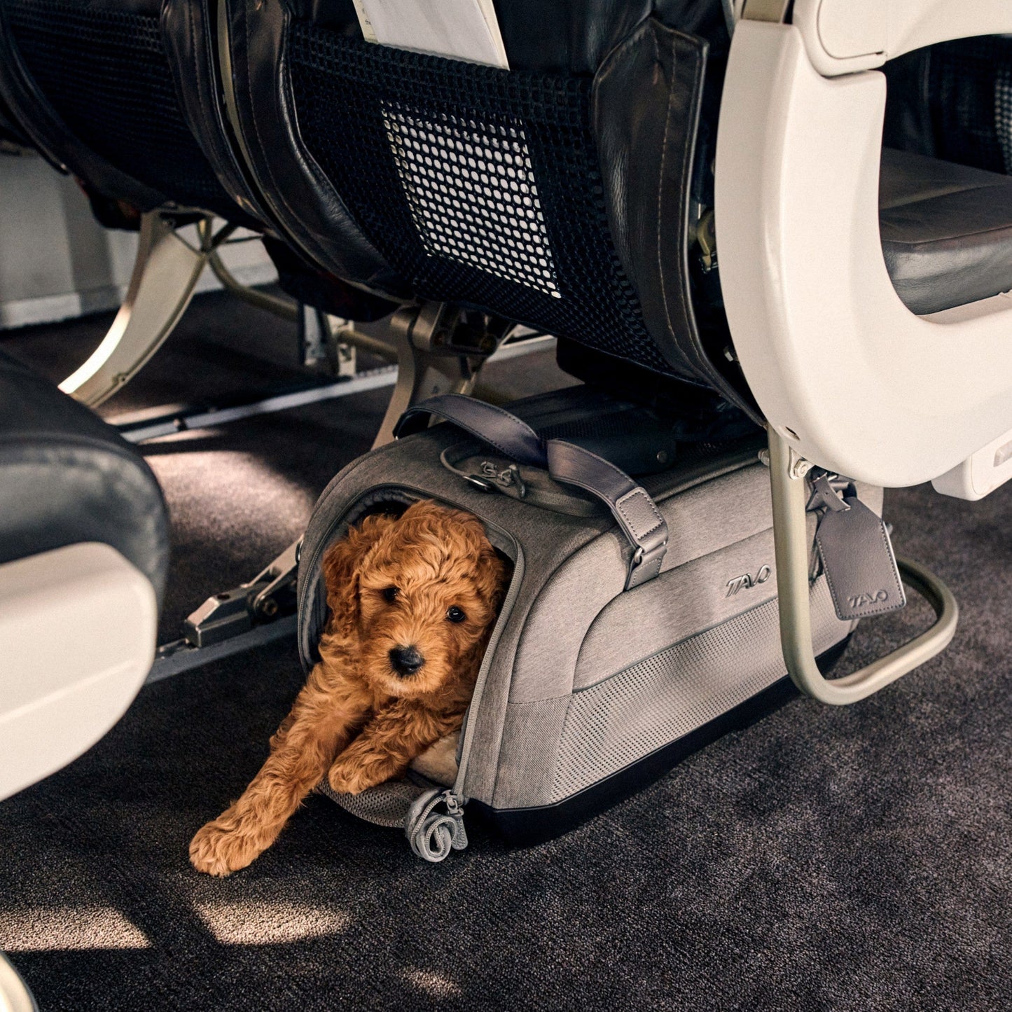 Tavo Pets Dog Car Seat Tavo Dupree Airline Carry-On Pet Car Seat | ISOFIX | Onyx & Merle | Cats & Small Dogs Pet Car Seat | Tavo Dupree Airline Carry-On with ISOFIX & Impact Protection