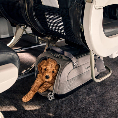Tavo Pets Dog Car Seat Tavo Dupree Airline Carry-On Pet Car Seat | ISOFIX | Onyx & Merle | Cats & Small Dogs Pet Car Seat | Tavo Dupree Airline Carry-On with ISOFIX & Impact Protection