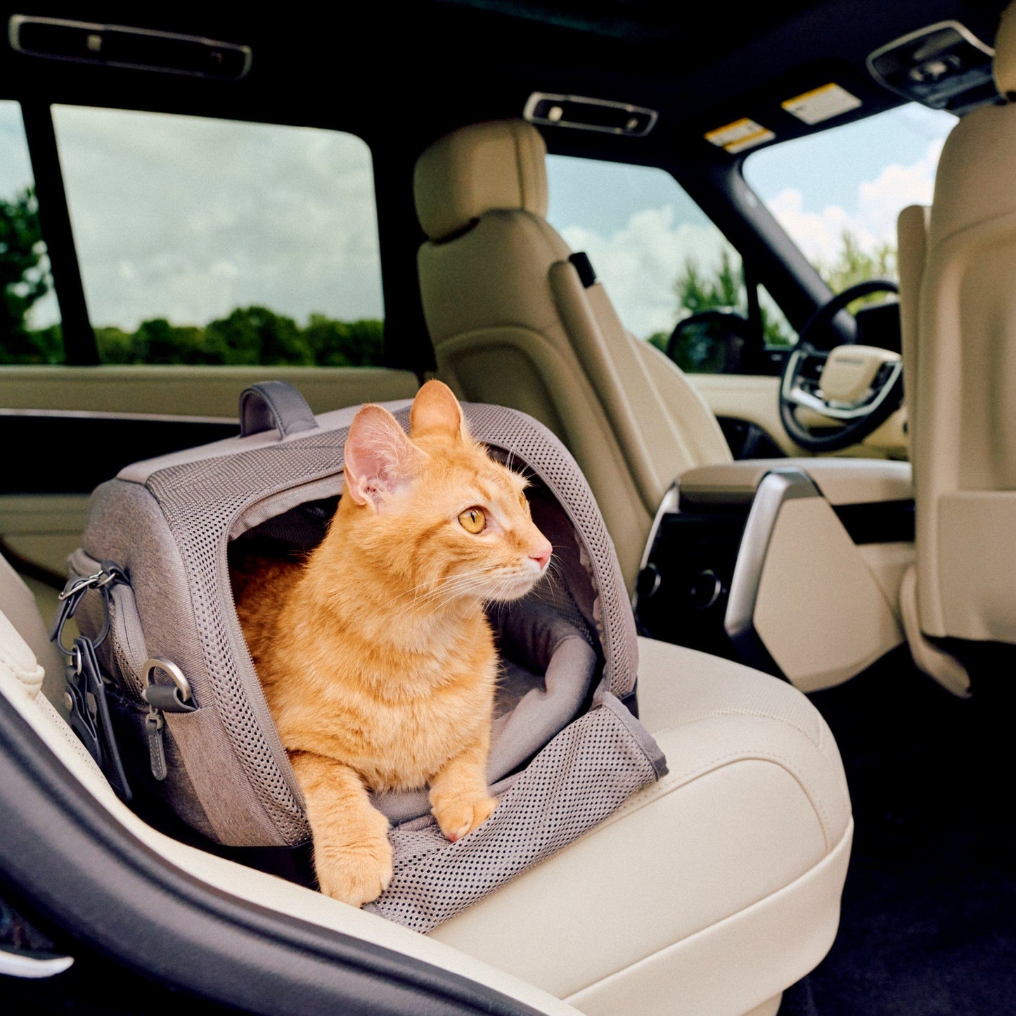 Tavo Pets Dog Car Seat Tavo Dupree Airline Carry-On Pet Car Seat | ISOFIX | Onyx & Merle | Cats & Small Dogs Pet Car Seat | Tavo Dupree Airline Carry-On with ISOFIX & Impact Protection