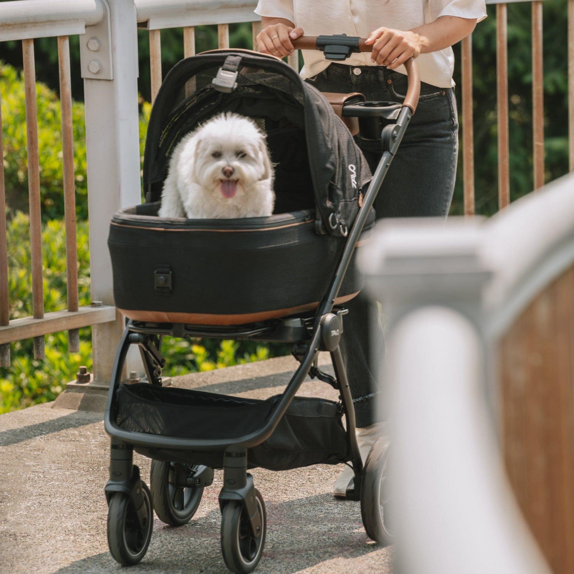 Tavo Pets Dog Car Seat Tavo Maeve + Roscoe Bundle | Pet Car Seat, Vehicle Base & Stroller Frame | Complete Travel System Pet Car Seat - Complete Travel System with Stroller & Base | Tavo Maeve + Roscoe Bundle
