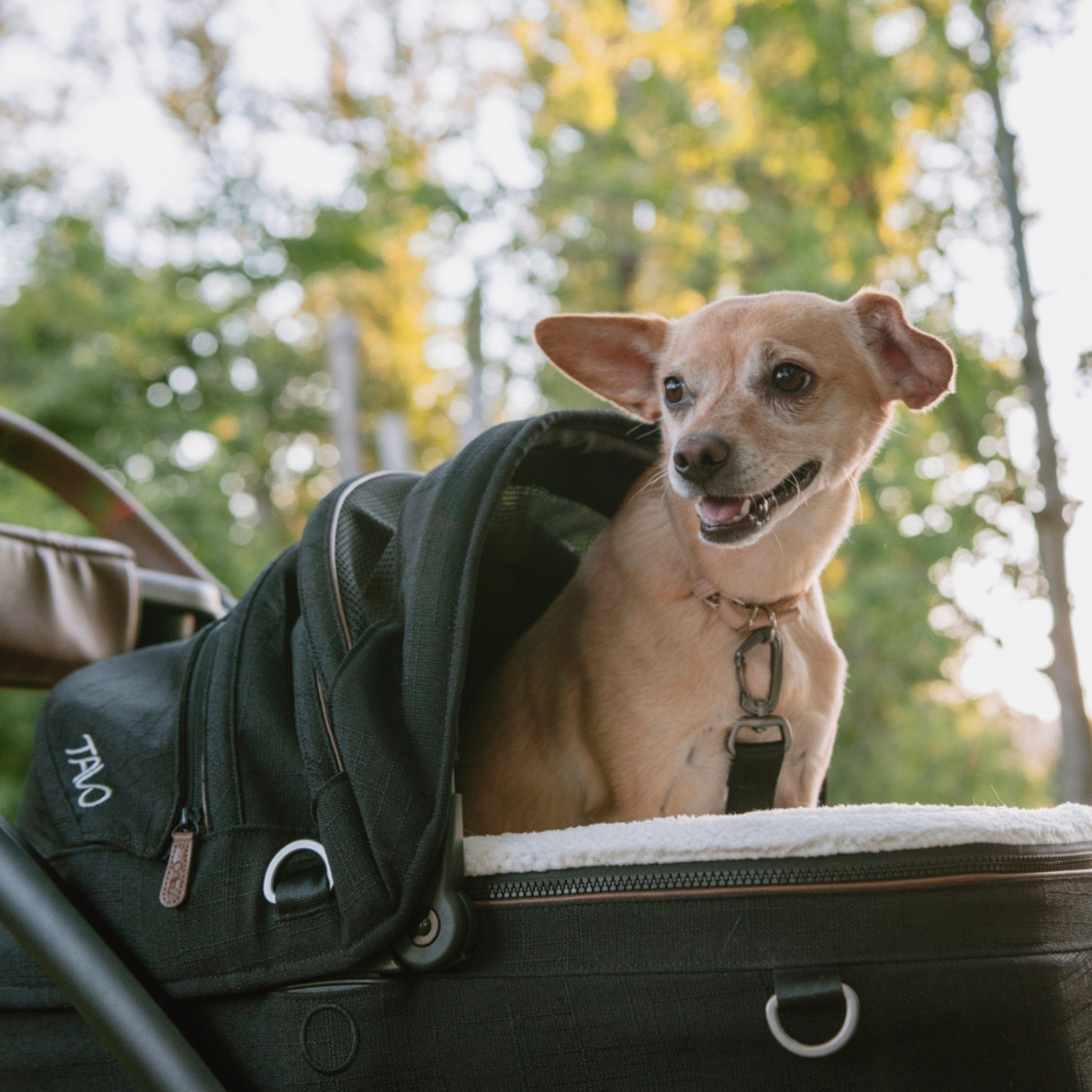 Tavo Pets Dog Car Seat Tavo Maeve + Roscoe Bundle | Pet Car Seat, Vehicle Base & Stroller Frame | Complete Travel System Pet Car Seat - Complete Travel System with Stroller & Base | Tavo Maeve + Roscoe Bundle