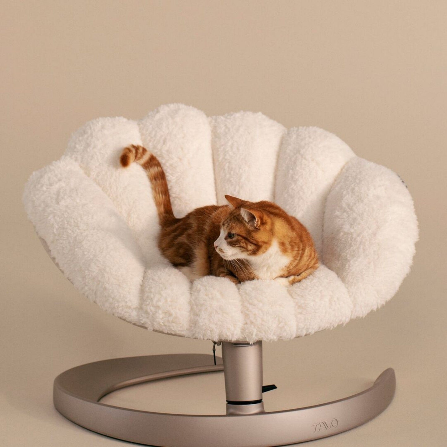 Tavo Pets Dog Bed Tavo Shell Pet Bed | Reclining & Swaying Lounger | For Cats & Dogs | Latte Tavo Shell Pet Bed | Reclining & Swaying Lounger for Cats & Dogs