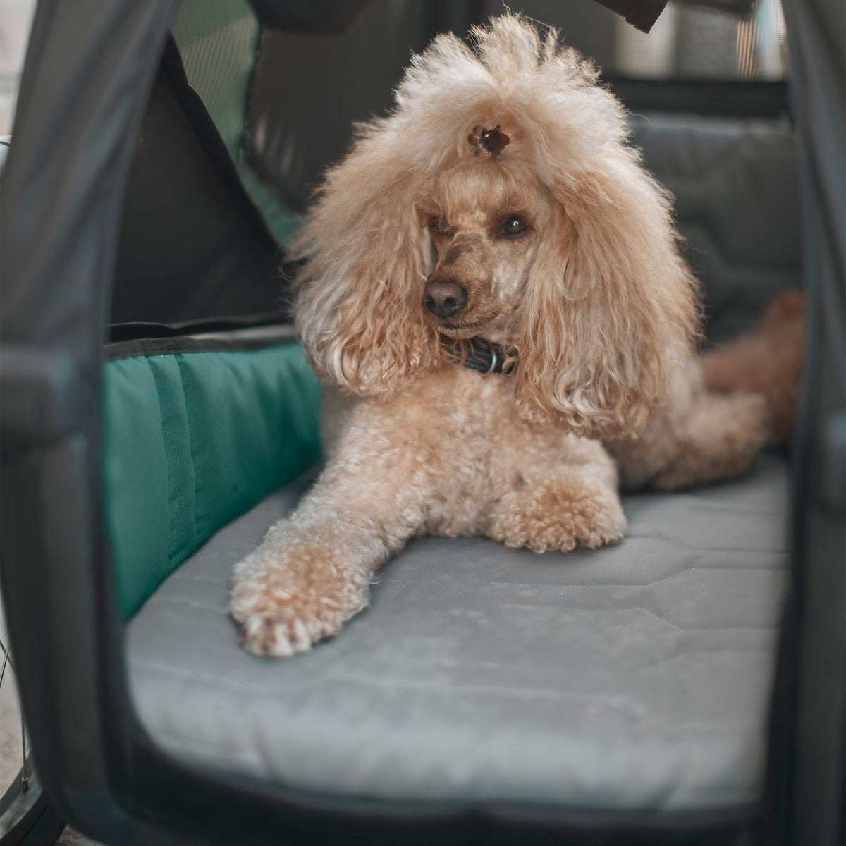 Thule Dog Bike Trailer Accessories Thule Bexey Dog Bed | Extra Comfort for the Bexey Trailer Thule Bexey Dog Bed | Dog Bike Trailer Comfort Accessory | Pets Own Us