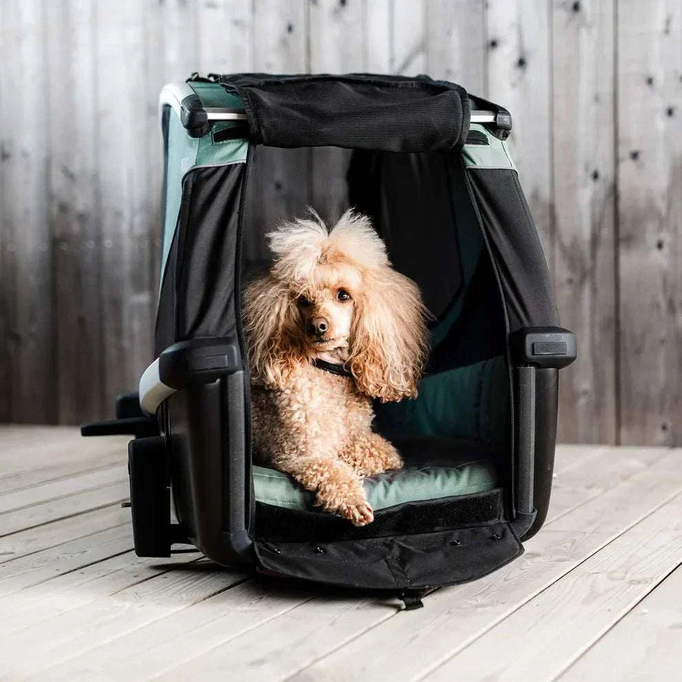Thule Bexey dog bike trailer in hazy green with extended hitch arm for medium and large dogs