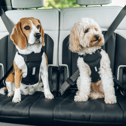Thule Dog Harness Thule Cappy Dog Car Harness | Crash-Tested | Step-In Design | 3 Sizes | Black Thule Cappy Dog Car Harness | Crash-Tested Safety & Step-In Fit