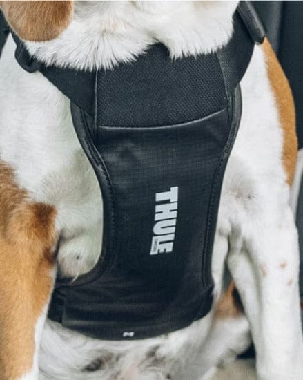 Thule Dog Harness Thule Cappy Dog Car Harness | Crash-Tested | Step-In Design | 3 Sizes | Black Thule Cappy Dog Car Harness | Crash-Tested Safety & Step-In Fit