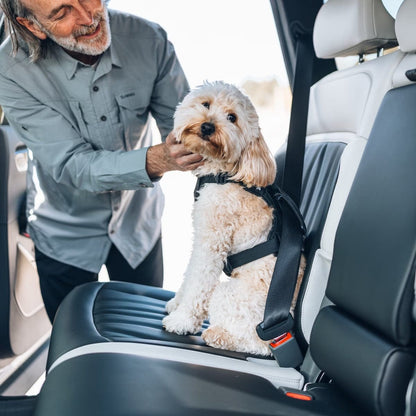 Thule Dog Harness Thule Cappy Dog Car Harness | Crash-Tested | Step-In Design | 3 Sizes | Black Thule Cappy Dog Car Harness | Crash-Tested Safety & Step-In Fit