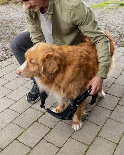 Thule Dog Harness Thule Cappy Dog Car Harness | Crash-Tested | Step-In Design | 3 Sizes | Black Thule Cappy Dog Car Harness | Crash-Tested Safety & Step-In Fit