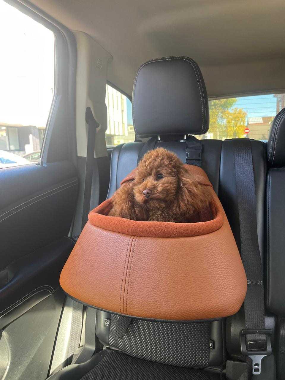 Toitert Toitert Luxury Safe Dog Car Seat | 9 Styles Available Toitert Luxury Dog Car Seat | 9 Stylish Handmade Safety Boosters
