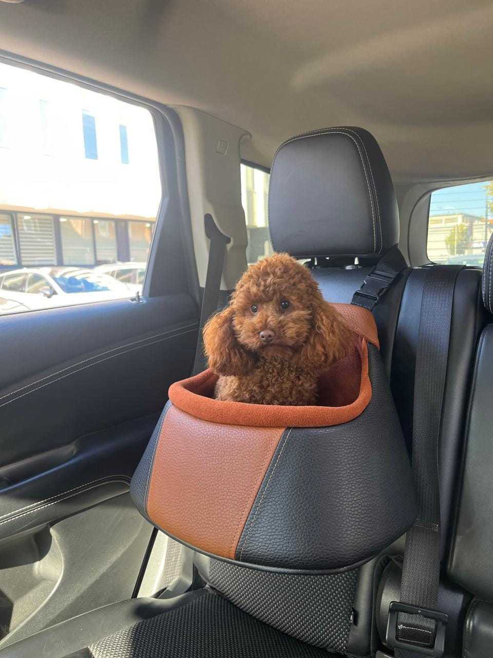 Toitert Toitert Luxury Safe Dog Car Seat | 9 Styles Available Toitert Luxury Dog Car Seat | 9 Stylish Handmade Safety Boosters