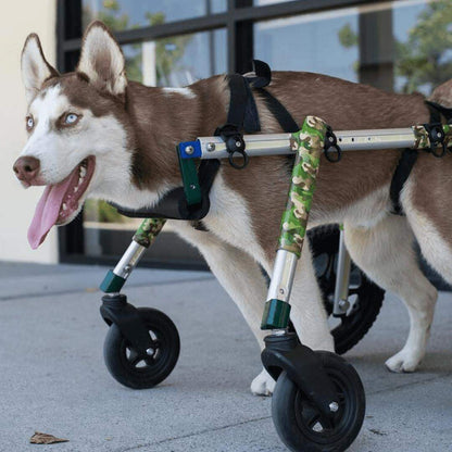 Wheels4Dogs Full Support Quad Dog Wheelchair MED/LARGE Full Support Quad Dog Wheelchair for Medium/Large Dogs | Adjustable & Durable