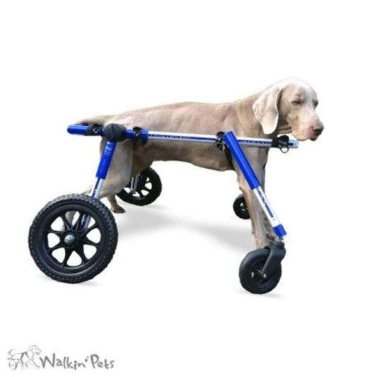 Wheels4Dogs Full Support Quad Dog Wheelchair MED/LARGE Full Support Quad Dog Wheelchair for Medium/Large Dogs | Adjustable & Durable