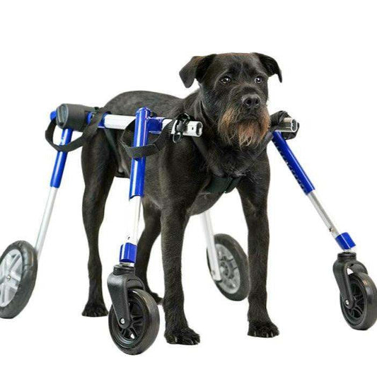 Full Support Wheelchair for medium dogs, adjustable, durable aluminum frame, all-terrain foam wheels, supports dogs 50-69 lbs