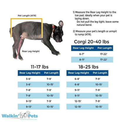 Full Support Walkin' Wheels small quad dog wheelchair for pets 11-25 lbs