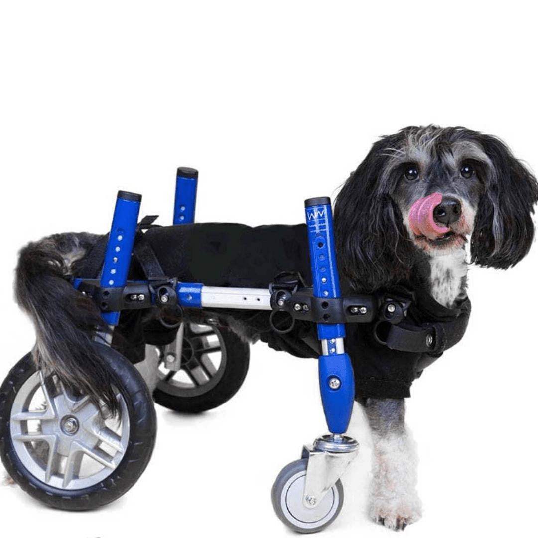 Full Support Walkin' Wheels small quad dog wheelchair for pets 11-25 lbs, adjustable and durable