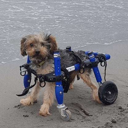 Full Support Walkin' Wheels quad dog wheelchair for small pets, durable and adjustable
