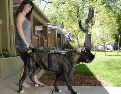 Help 'Em Up Harness full-body dog support harness for mobility challenges with dual handles and adjustable fit