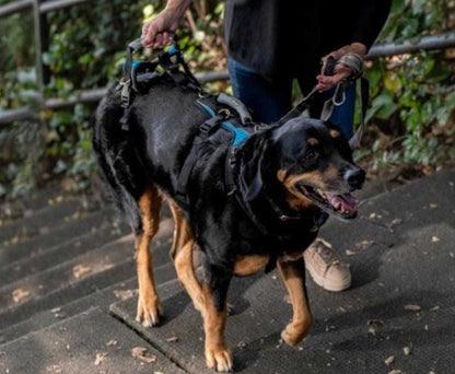 Help 'Em Up Harness full body support dog mobility aid with dual handles and adjustable fit
