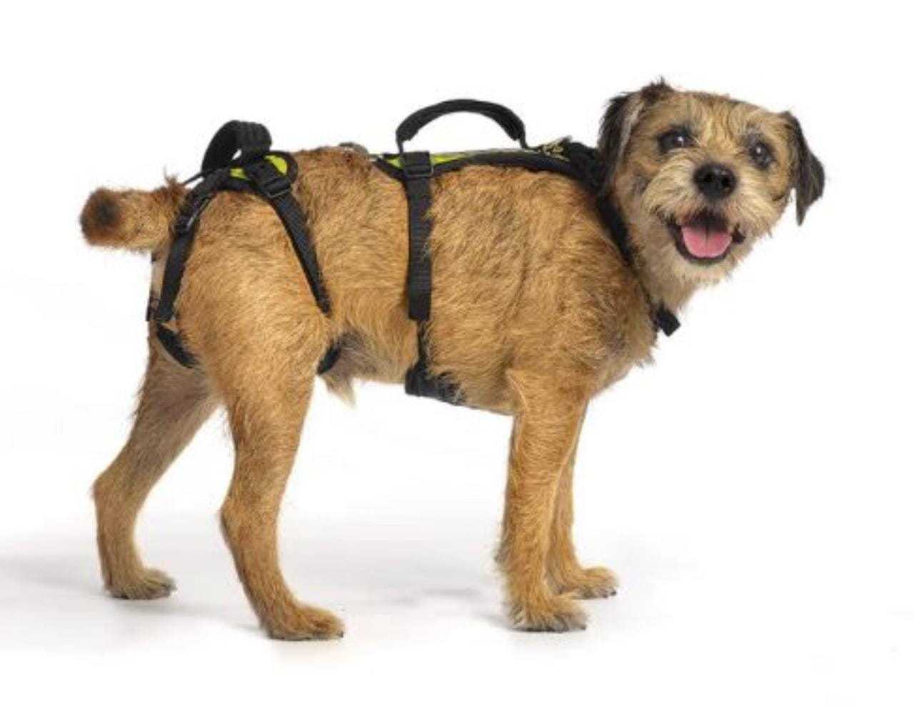 Help 'Em Up Harness full body dog mobility support with dual handles and adjustable fit