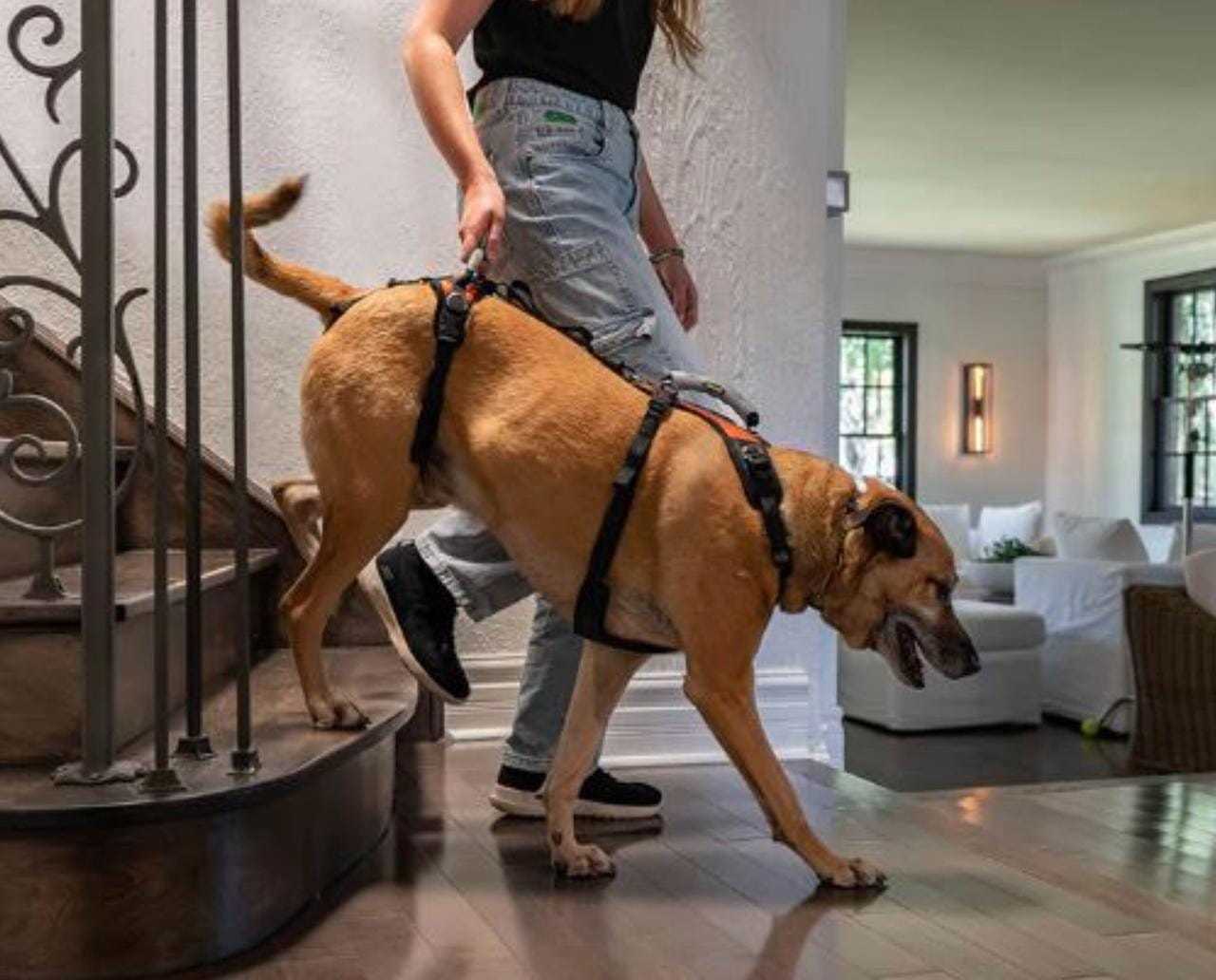 Help 'Em Up Harness full body dog support harness for mobility challenges