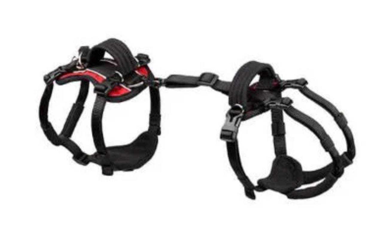 Full body Help 'Em Up Harness supporting senior dog with mobility issues