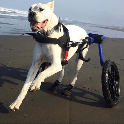 Large dog wheelchair rear adjustable lightweight for breeds 70-180 lbs with durable aluminum frame and all-terrain foam wheels