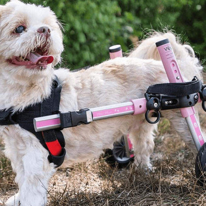 Walkin Wheels Dog Wheelchair small size rear support for dogs 11-25 lbs adjustable lightweight frame